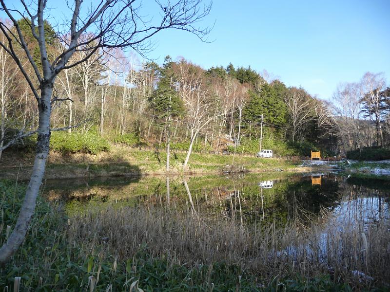 foto_20141116_1525_02.jpg - [de]Der Teich liegt still und ruhig da.[en]The pond is in a really quiet area.
