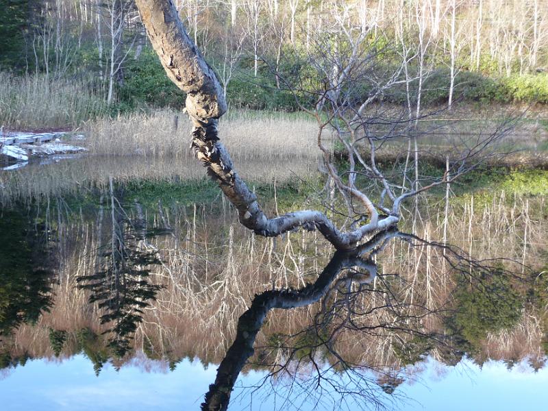 foto_20141116_1527_03.jpg - [de]Die Oberfläche erzeugt besondere Motive.[en]The surface creates create pictures.