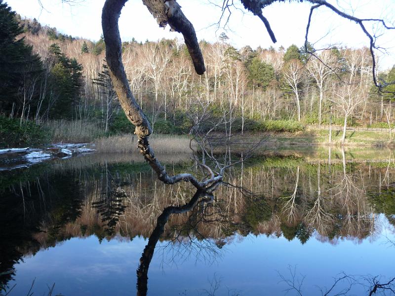 foto_20141116_1528_01.jpg - [de][en]