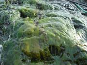 foto_20141116_1447_02