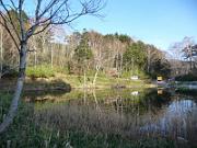 foto_20141116_1525_02