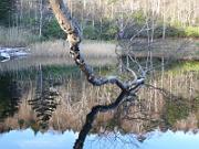 foto_20141116_1527_03