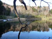 foto_20141116_1528_01