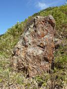 foto_20141117_1218_01