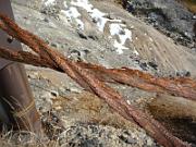 foto_20141117_1230_02