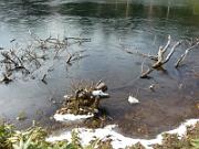 foto_20141117_1247_01