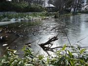 foto_20141117_1247_03