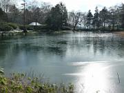 foto_20141117_1248_01