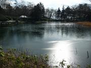 foto_20141117_1249_02