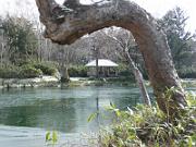 foto_20141117_1249_04