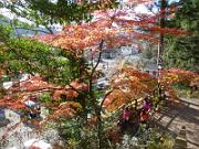 foto_20141118_1423_02