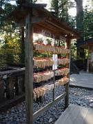 foto_20141118_1500_01