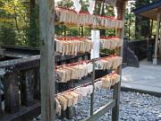 foto_20141118_1500_02