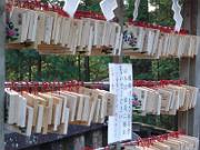 foto_20141118_1500_03