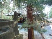 foto_20141118_1503_01