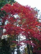 foto_20141118_1546_01