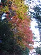 foto_20141118_1555_01