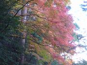 foto_20141118_1555_02