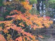 foto_20141118_1557_01