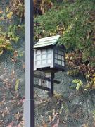 foto_20141118_1558_01