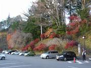 foto_20141118_1602_02