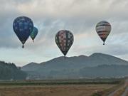 foto_20141121_0727_02