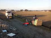 foto_20141121_1547_01